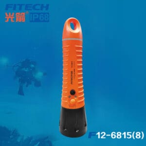 F12-6815（8）